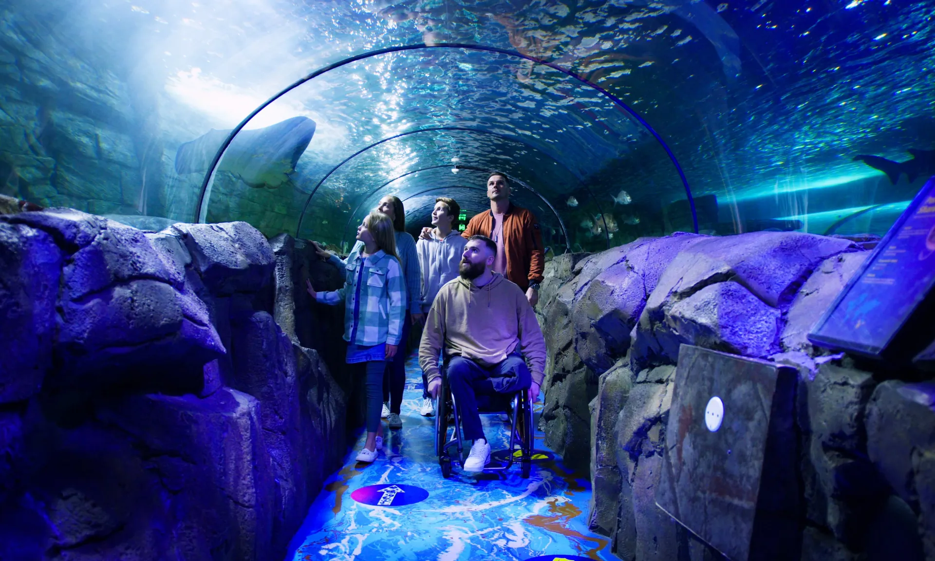 SEA LIFE Sydney Aquarium General Admission | Experience Oz-14