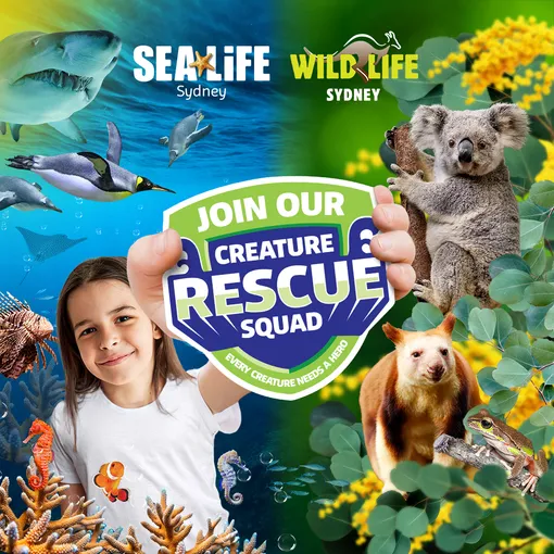 SEA LIFE Sydney Aquarium General Admission | Experience Oz