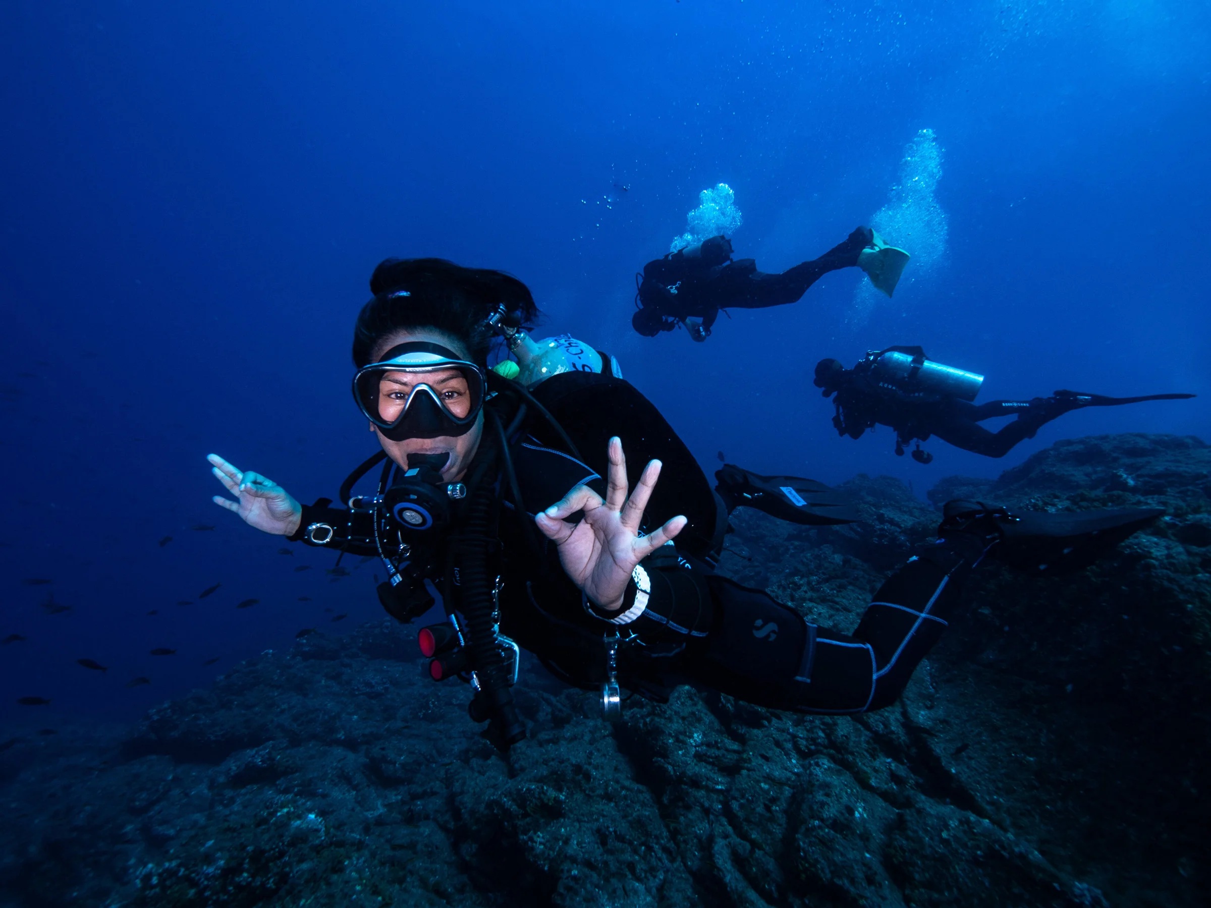Bushrangers Bay Scuba Dive With Grey Nurse Sharks