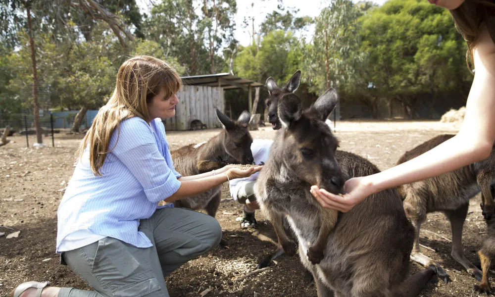 Kangaroo Island Experience Day Tour - Book Now | Experience Oz-6