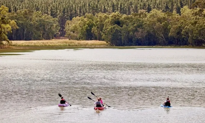 Williamstown Self Guided Kayak Tour, 2 Hours - For 2