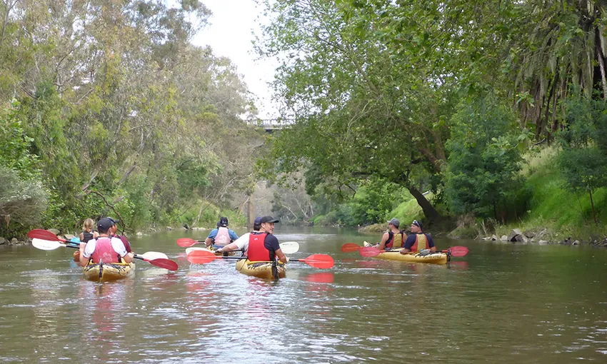 Self Guided Scenic Yarra River Kayak Tour - For 2