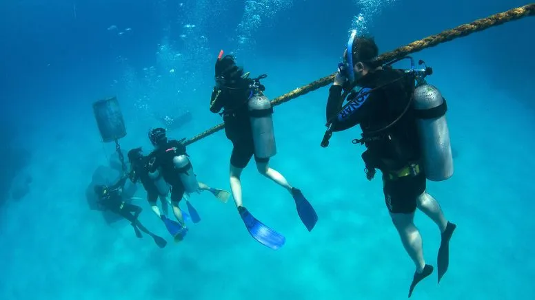 Sunshine Coast Open Water Scuba Diver Course, 3 Days