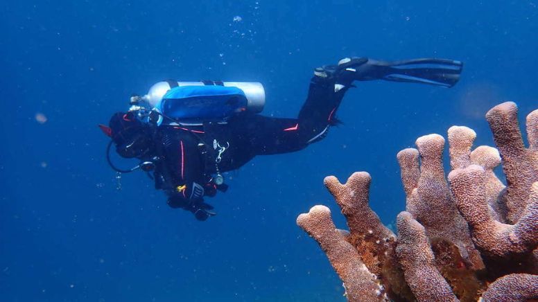 Sunshine Coast Open Water Scuba Diver Course, 3 Days
