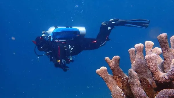 Sunshine Coast Open Water Scuba Diver Course, 3 Days