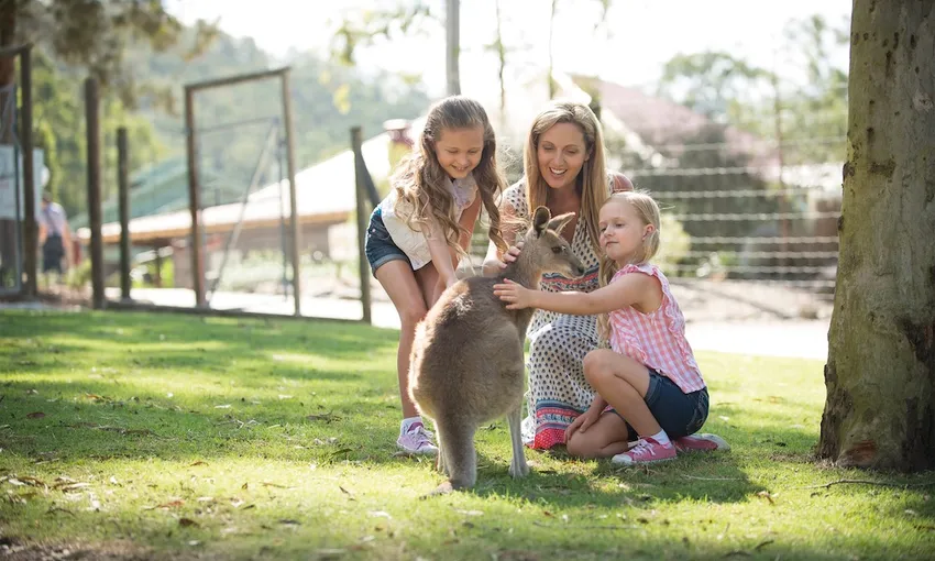 14 Day Unlimited Multi Park Pass - Gold Coast