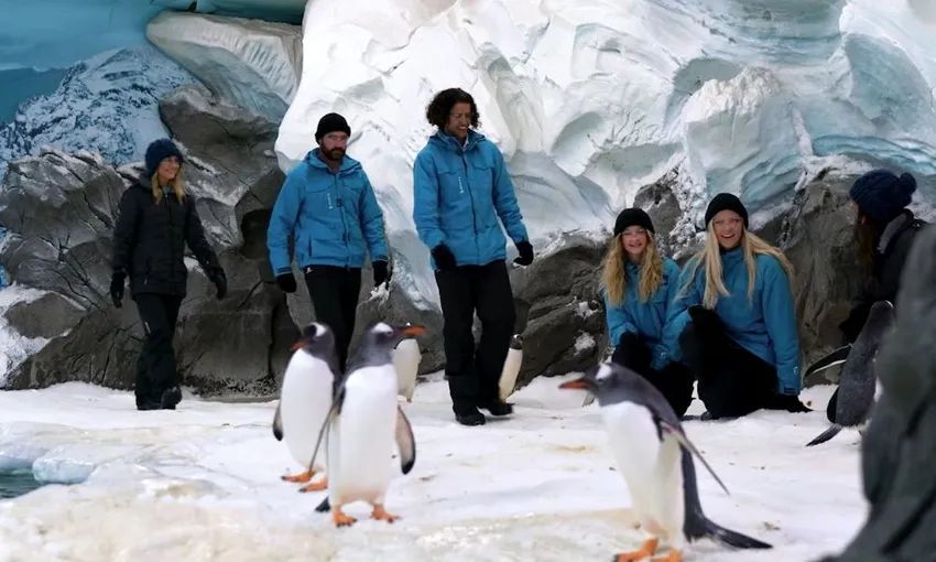 Penguins Antarctic Adventure at Sea World