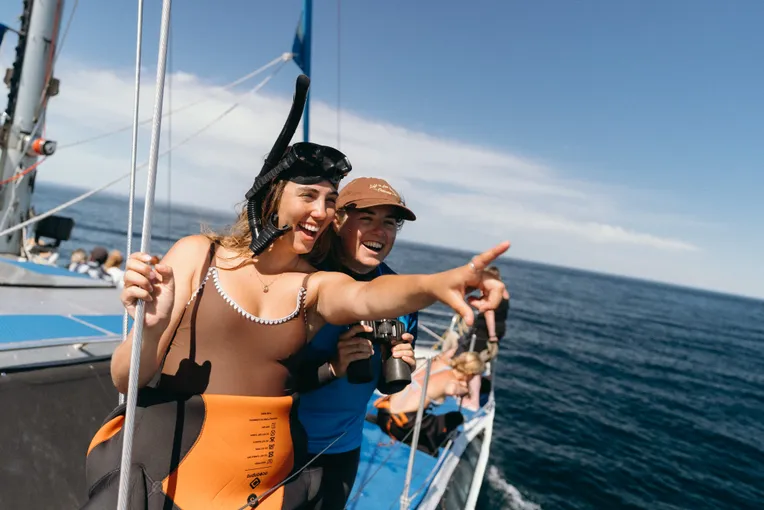 Cruise and Swim with Wild Dolphins - Adelaide