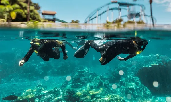 Tropical Reef Snorkel at Sea World