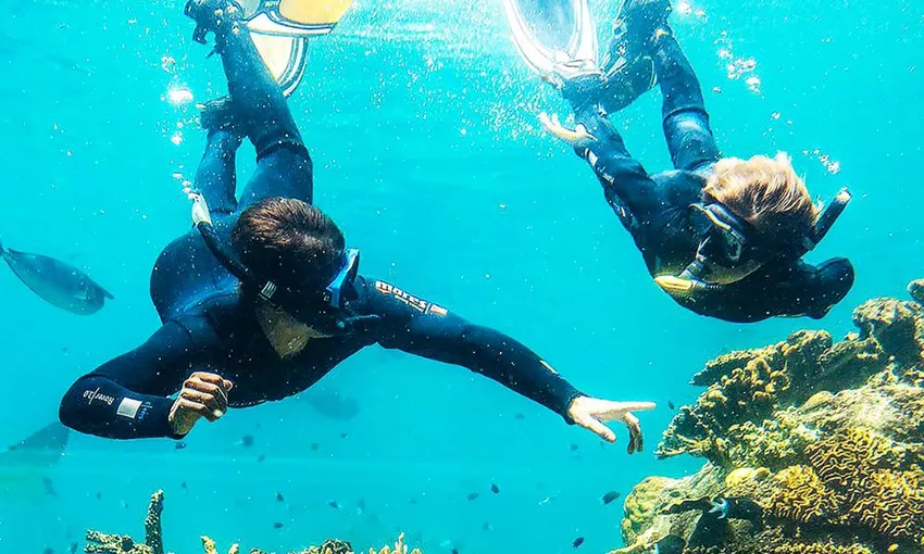 Tropical Reef Snorkel at Sea World