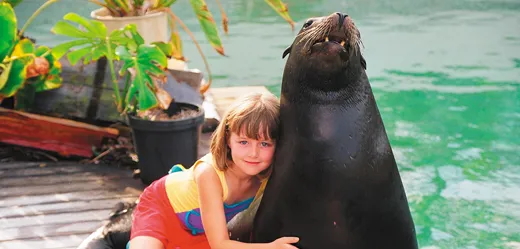 Seal Encounter at Sea World Surfers Paradise