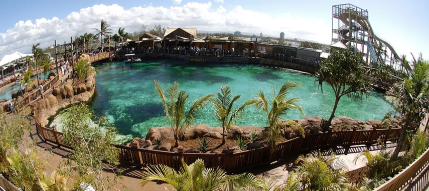 Seal Encounter at Sea World Surfers Paradise