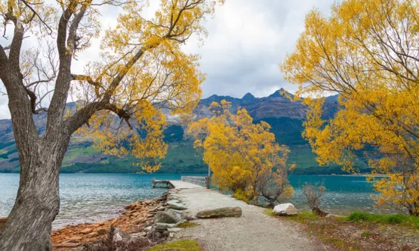 Glenorchy Kiwi Special Tour