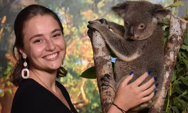 Cairns Koalas & Creatures Entry & Koala Photo - 20 Minutes
