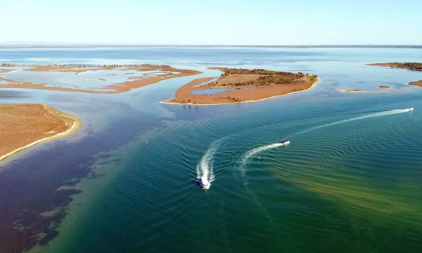 Mandurah Giants & Dolphin Sightseeing Cruise | Experience OZ