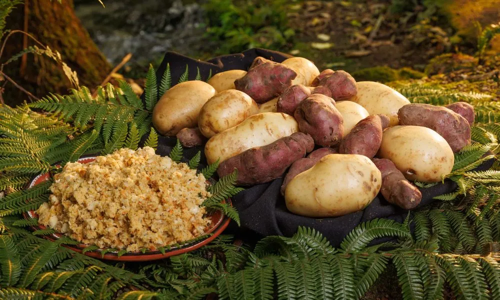 Mitai Maori Cultural Experience with Dinner Buffet - Book Now | Experience Oz-5