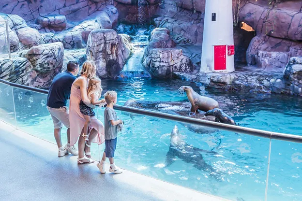 SEA LIFE Sunshine Coast Aquarium Entry