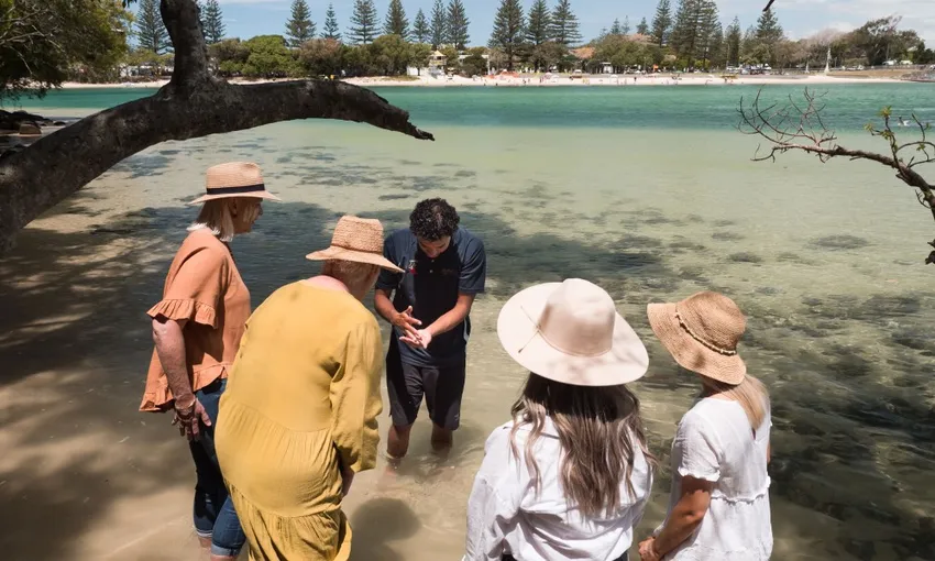 Burleigh Heads Jellurgal Cultural Centre & Walkabout | Experience OZ