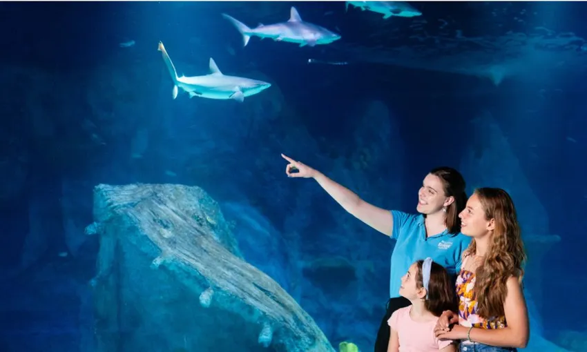 SEA LIFE Melbourne Aquarium Entry Tickets