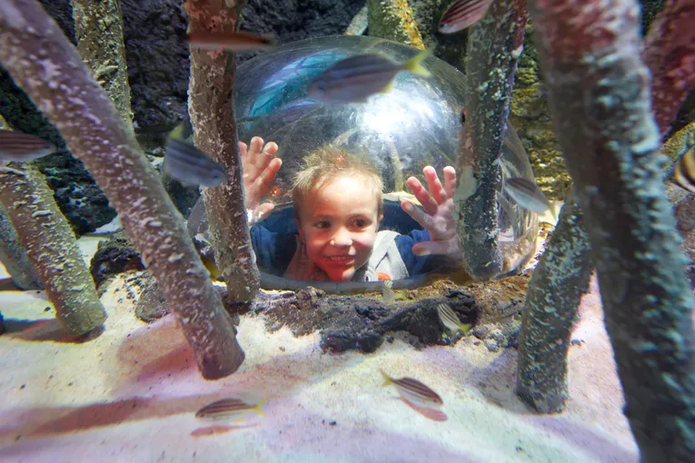 SEA LIFE Melbourne Aquarium Entry Tickets