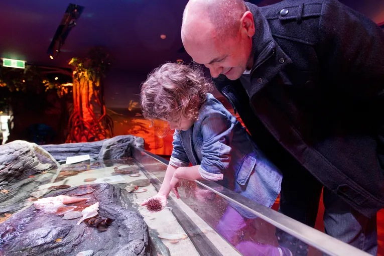 SEA LIFE Melbourne Aquarium Entry Tickets