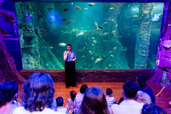 SEA LIFE Melbourne Aquarium Entry Tickets