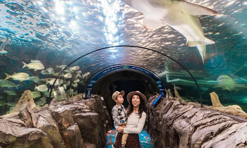 SEA LIFE Sydney Aquarium Admission