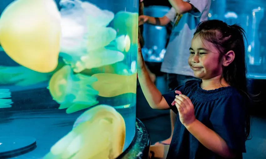 SEA LIFE Sydney Aquarium Admission