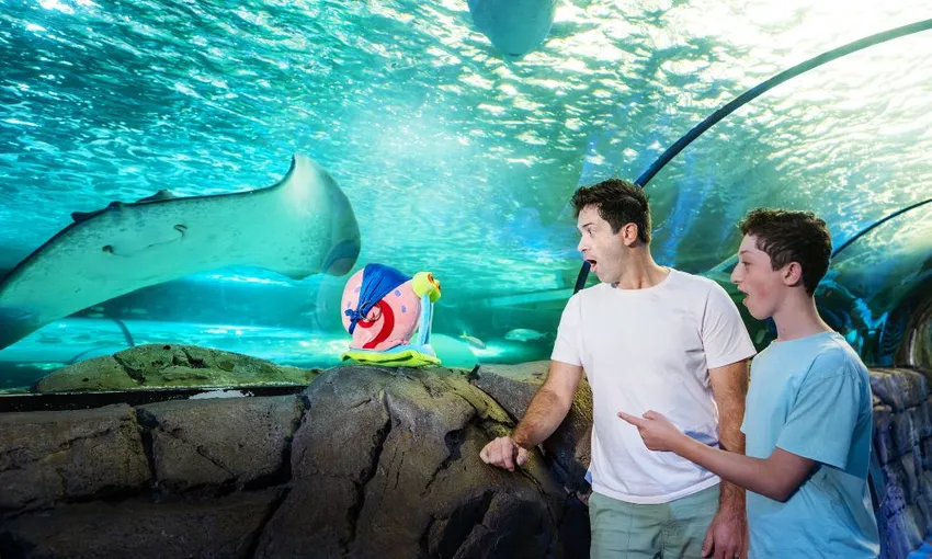 SEA LIFE Sydney Aquarium Admission