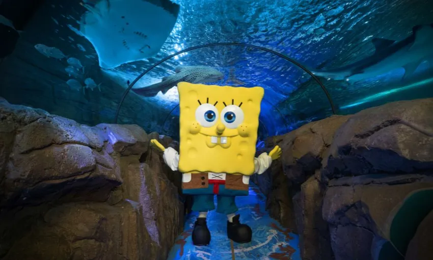 SEA LIFE Sydney Aquarium Admission