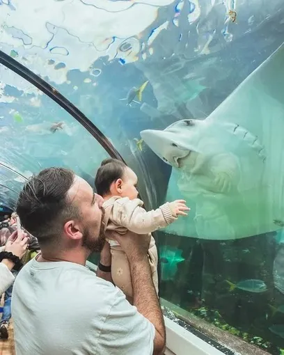 SEA LIFE Sydney Aquarium Admission