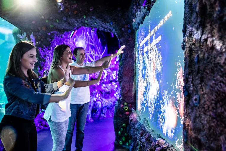 SEA LIFE Sydney Aquarium Admission