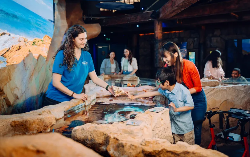 SEA LIFE Sydney Aquarium Admission