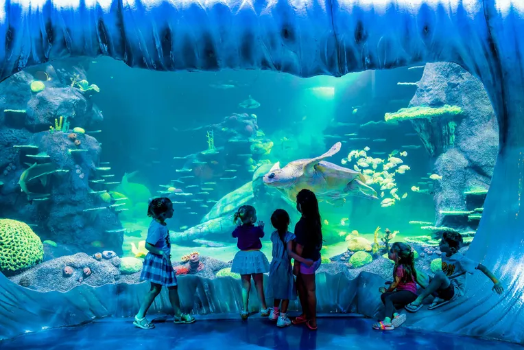 SEA LIFE Sydney Aquarium Admission