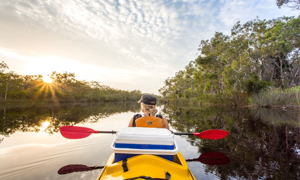 Everglades Guided Kayak Tour With Lunch, Full Day - Noosa