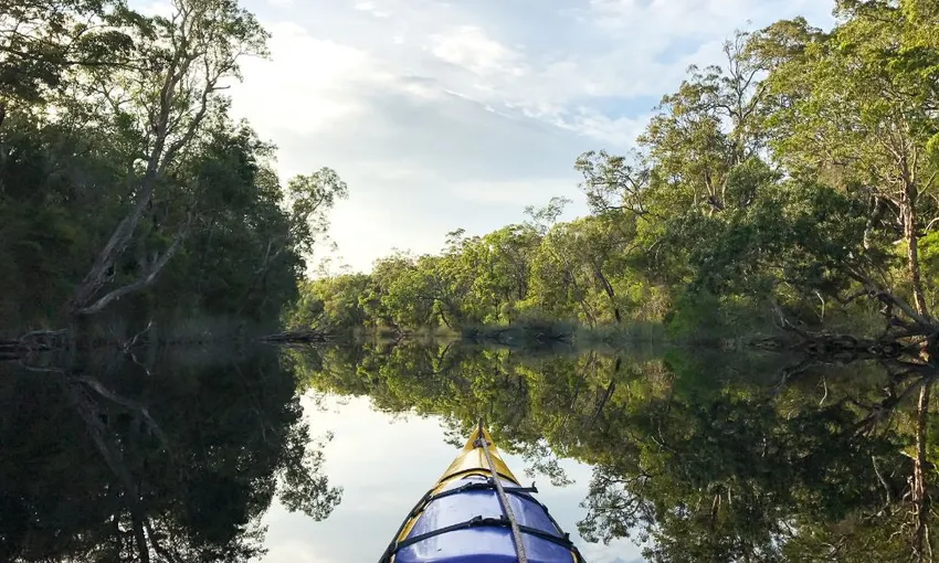 Everglades Guided Kayak Tour With Lunch, Full Day - Noosa