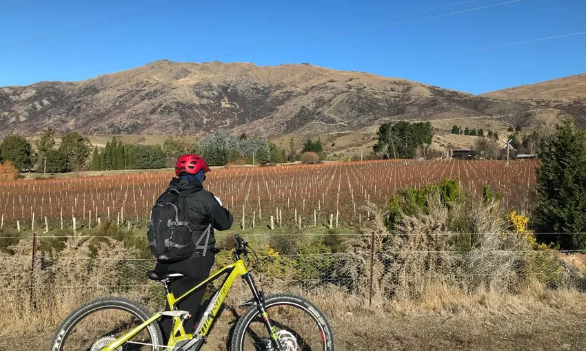 Ride to the Vines Guided Wine eBike Tour | Experience Oz