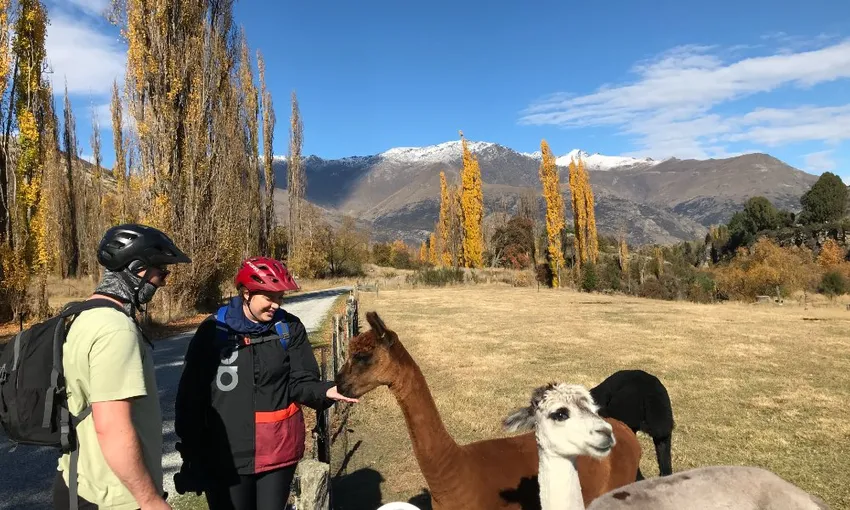 Ride to the Vines Guided Wine eBike Tour | Experience Oz
