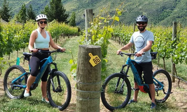 Ride to the Vines Guided Wine eBike Tour - 6 Hours