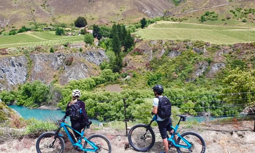Ride to the Vines Guided Wine eBike Tour | Experience Oz