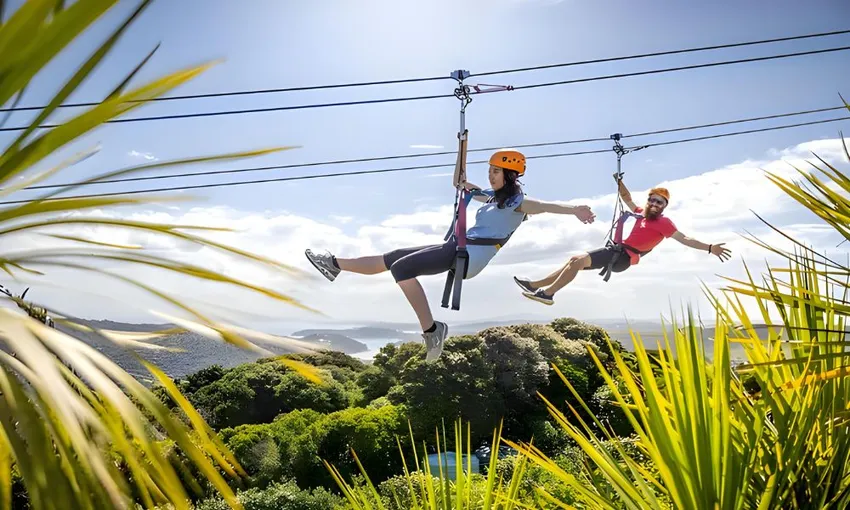 Waiheke Island Eco Zip and Wine Tour - Full Day | Experience Oz