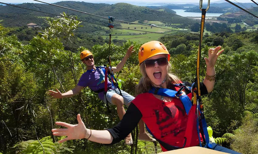 Waiheke Island Eco Zip and Wine Tour - Full Day | Experience Oz