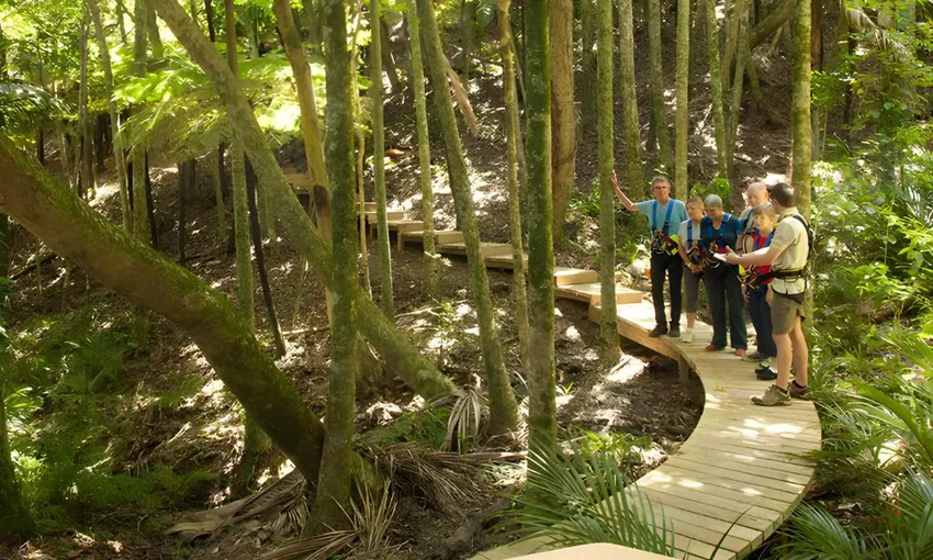 Waiheke Island Eco Zip and Wine Tour - Full Day | Experience Oz