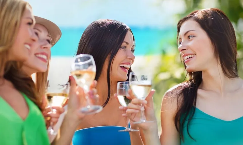 Waiheke Island Premium Wine Tour - Full Day | Experience Oz