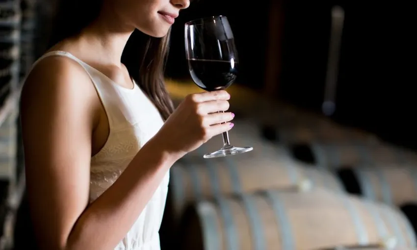 Waiheke Island Premium Wine Tour - Full Day | Experience Oz