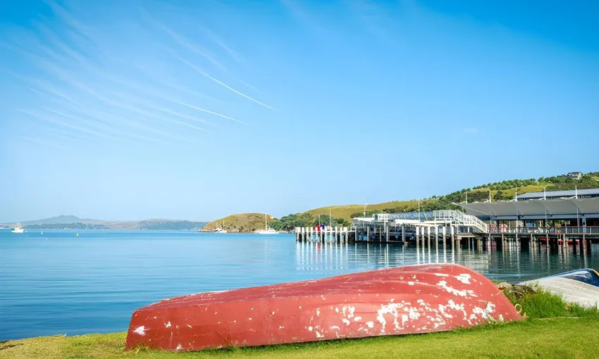 Waiheke Island Premium Wine Tour - Full Day | Experience Oz