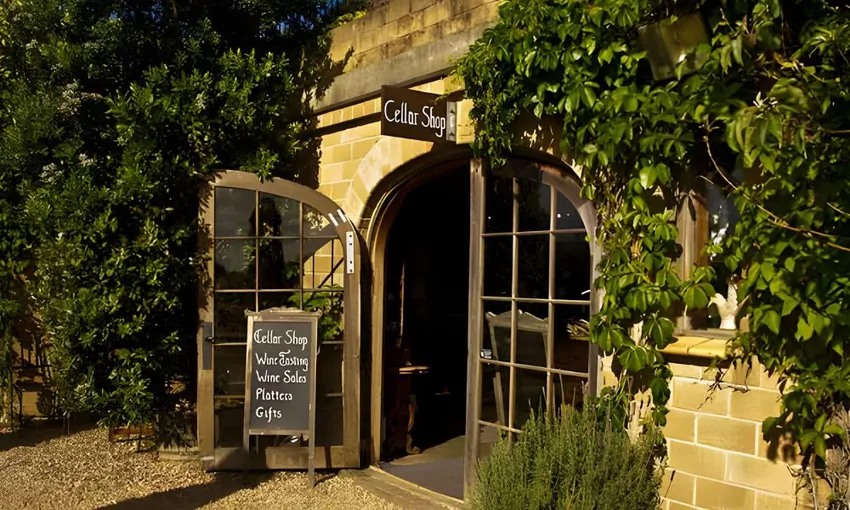 Waiheke Island Premium Wine Tour - Full Day | Experience Oz
