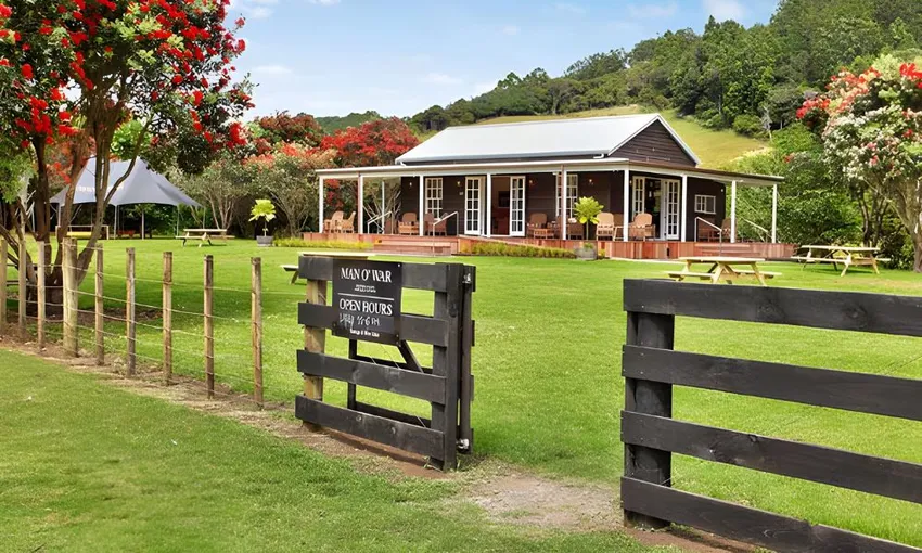Waiheke Island Premium Wine Tour - Full Day | Experience Oz