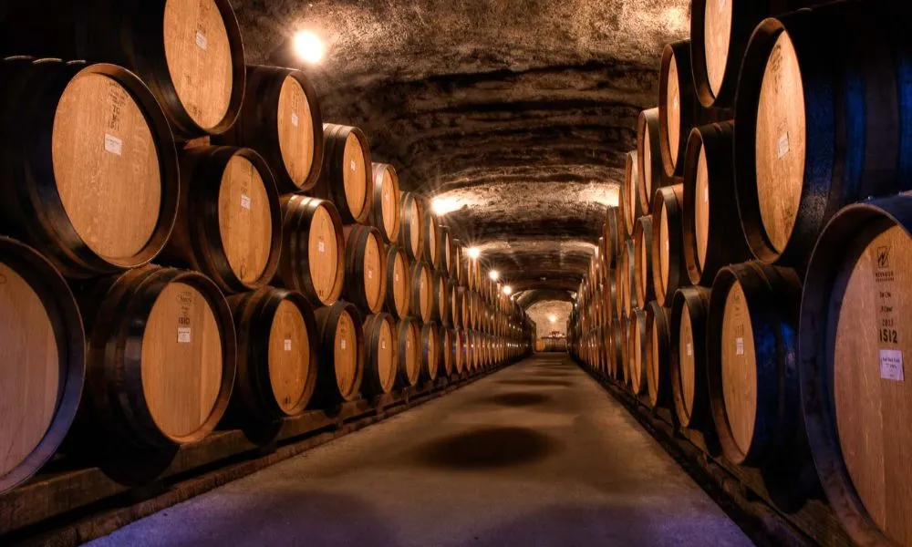 Waiheke Island More Than a Wine Tour - Full Day | Experience Oz-4