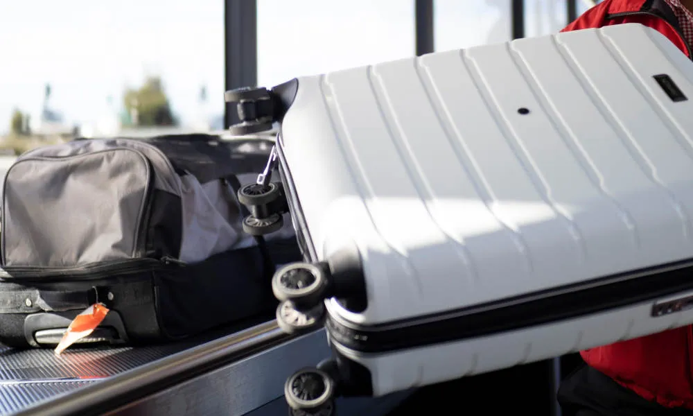 SkyBus Hobart City To Hobart Airport Transfers - Book Now | Experience Oz-5